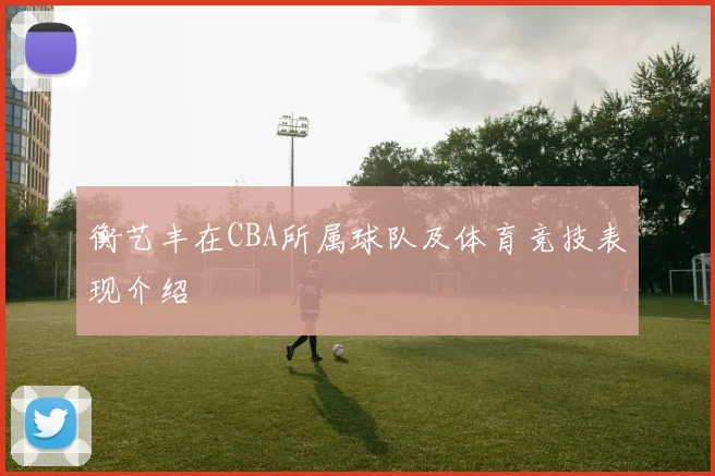 衡艺丰在CBA所属球队及体育竞技表现介绍