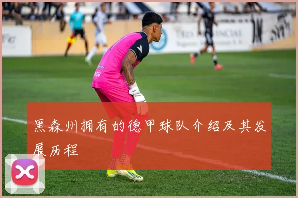 黑森州拥有的德甲球队介绍及其发展历程