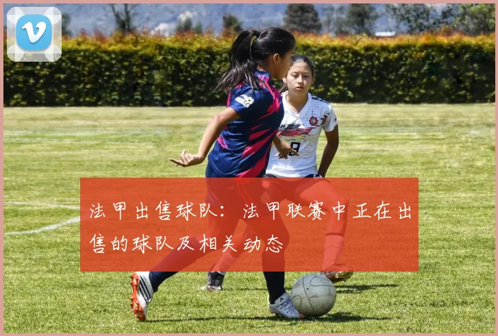 法甲出售球队：法甲联赛中正在出售的球队及相关动态