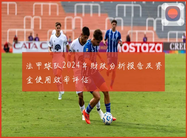 法甲球队2024年财政分析报告及资金使用效率评估