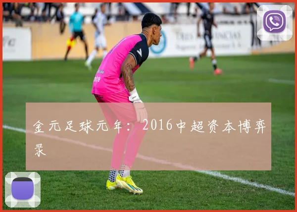 金元足球元年：2016中超资本博弈录
