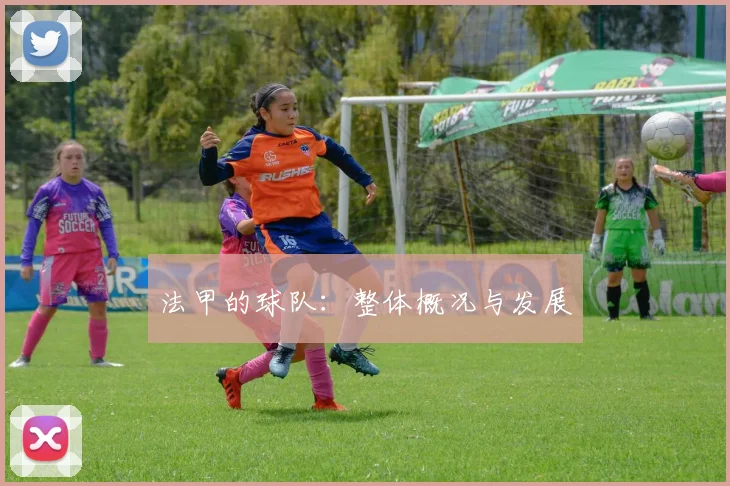 法甲的球队：整体概况与发展